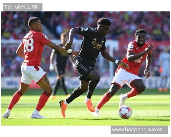 帕利尼亚热刺新机会让我重燃激情期待在英超赛场尽情享受比赛