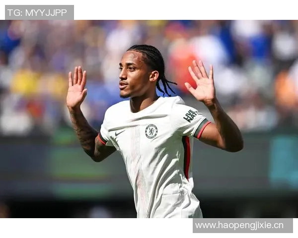 谢林汉姆评论切尔西放弃杰克逊的决定对佩德罗适应影响深远