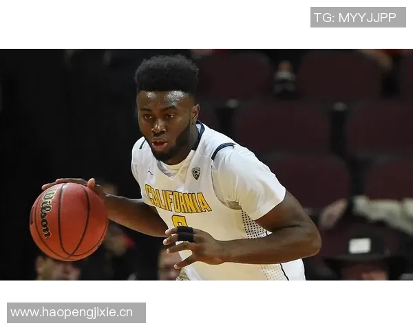 绿军新秀冈萨雷斯面临语言障碍困扰战术理解难题