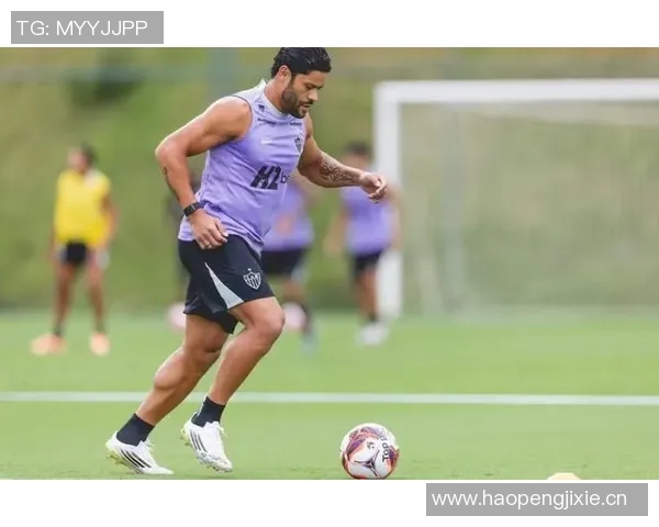 胡尔克澄清解约传闻坚持履行合同并未接到俱乐部联系