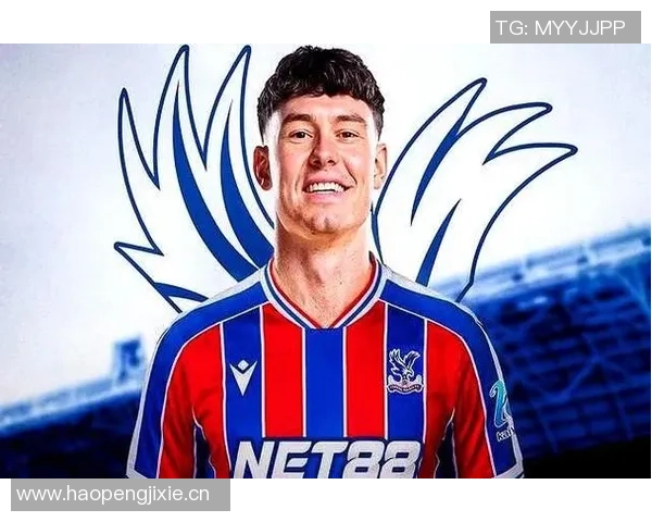 德天空报道水晶宫欲3000万欧签鲍姆加特纳遭莱比锡拒绝